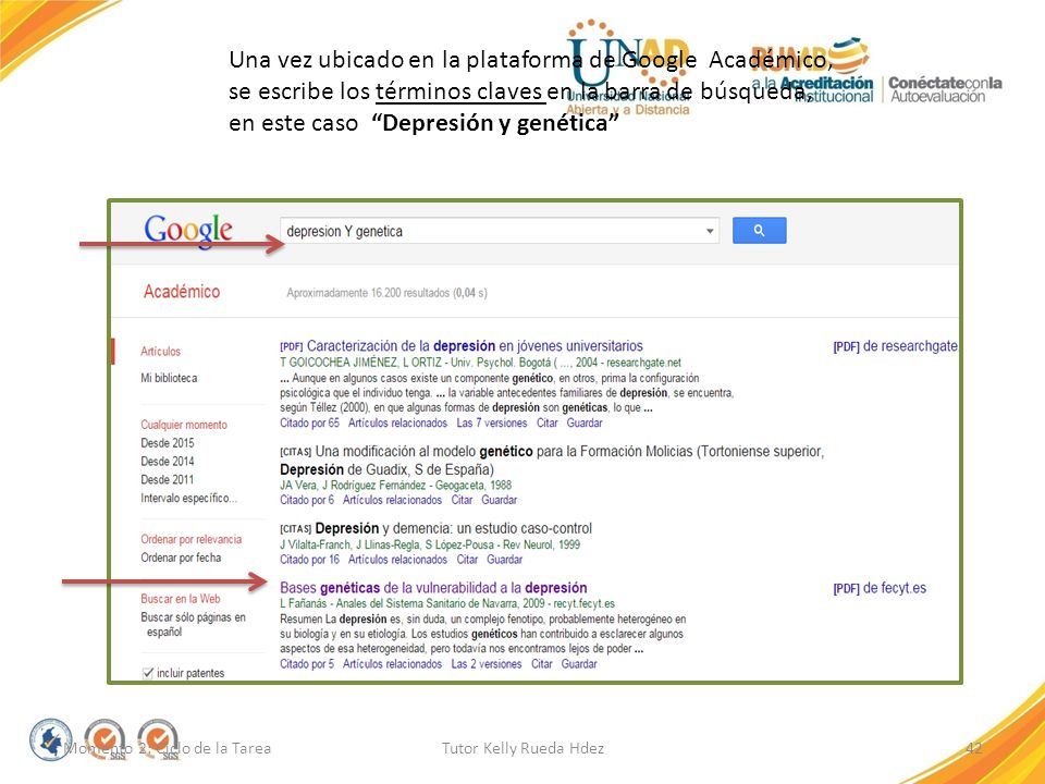 Una vez ubicado en la plataforma de Google Académico, se escribe los términos claves en la barra de búsqueda, en este caso Depresión y genética
