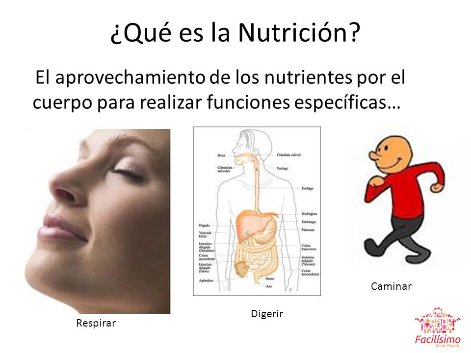 ¿Qué es la Nutrición El aprovechamiento de los nutrientes por el cuerpo para realizar funciones específicas…