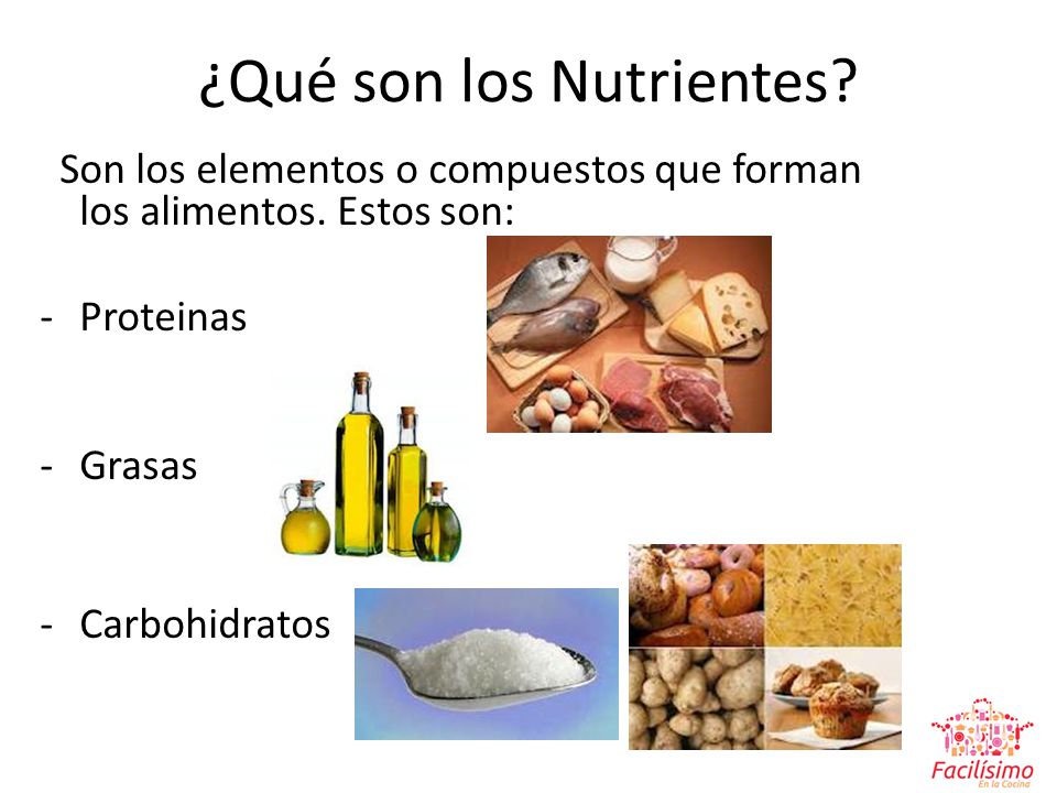 ¿Qué son los Nutrientes