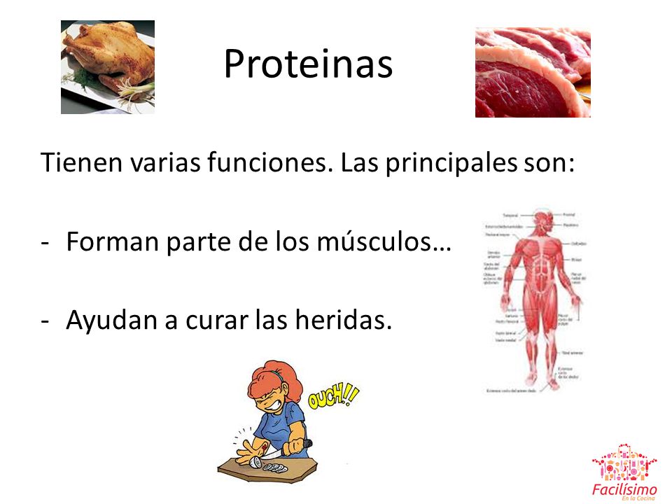 Proteinas Tienen varias funciones. Las principales son: