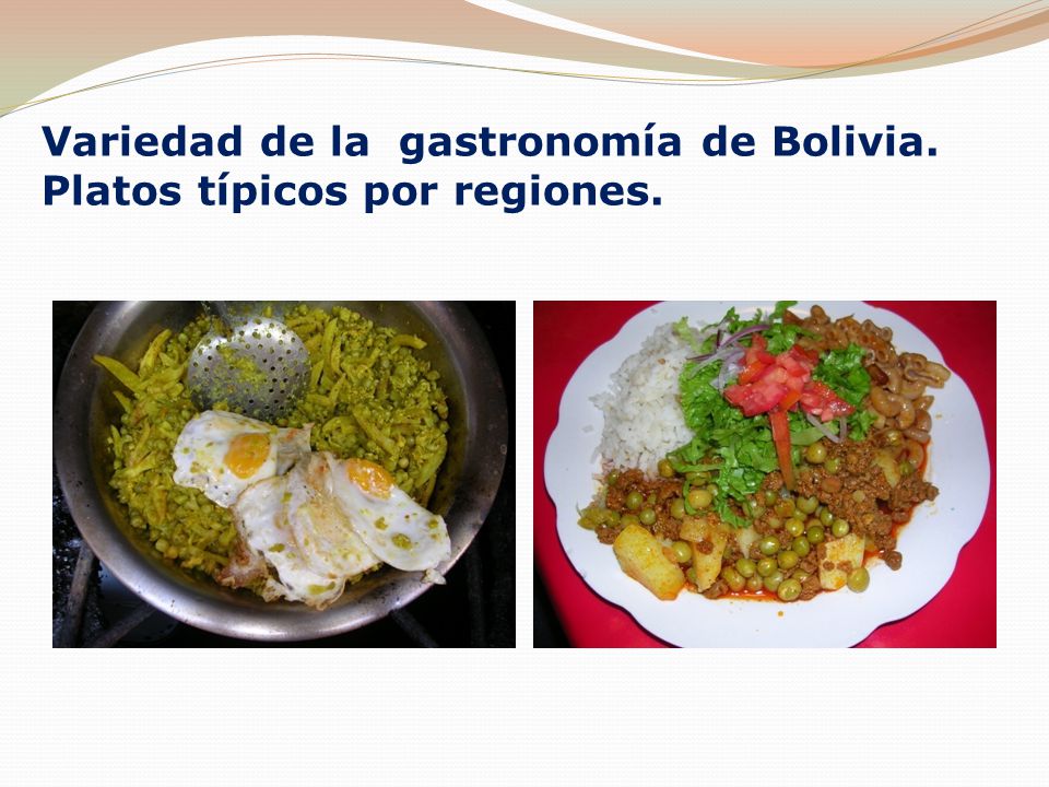 Variedad de la gastronomía de Bolivia. Platos típicos por regiones.