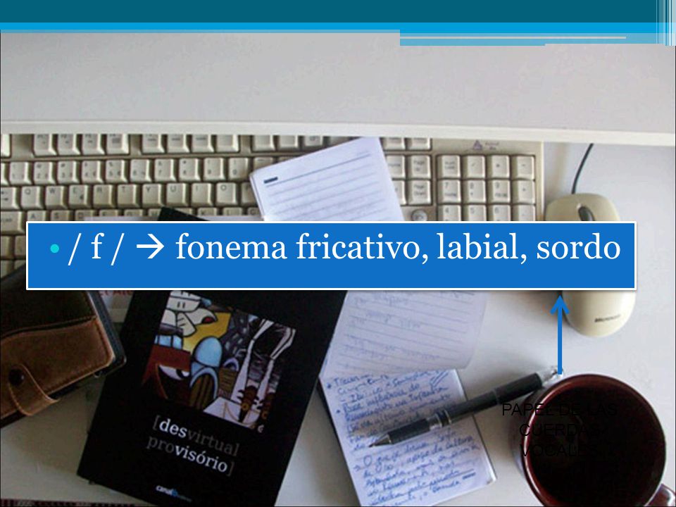 / f /  fonema fricativo, labial, sordo