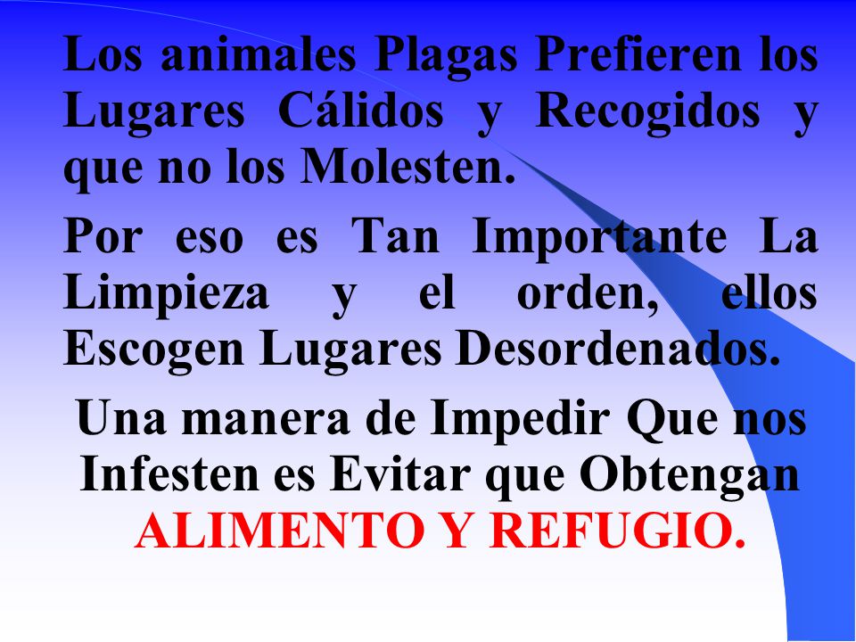 Los animales Plagas Prefieren los Lugares Cálidos y Recogidos y que no los Molesten.