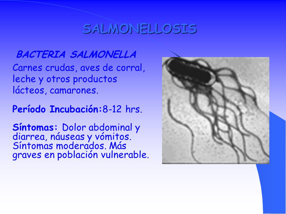 SALMONELLOSIS Carnes crudas, aves de corral, leche y otros productos