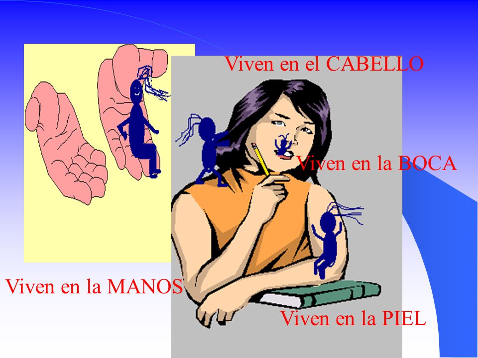 Viven en el CABELLO Viven en la BOCA Viven en la MANOS Viven en la PIEL