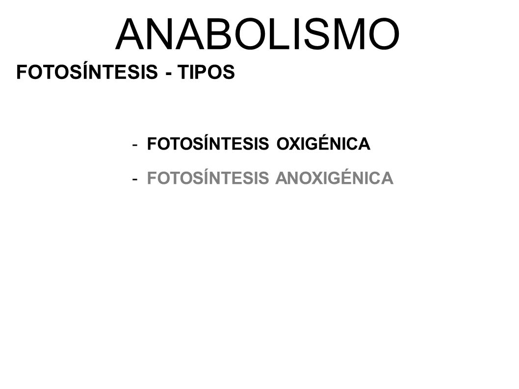 ANABOLISMO FOTOSÍNTESIS - TIPOS FOTOSÍNTESIS OXIGÉNICA