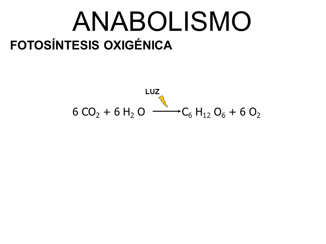 ANABOLISMO FOTOSÍNTESIS OXIGÉNICA LUZ 6 CO2 + 6 H2 O C6 H12 O6 + 6 O2