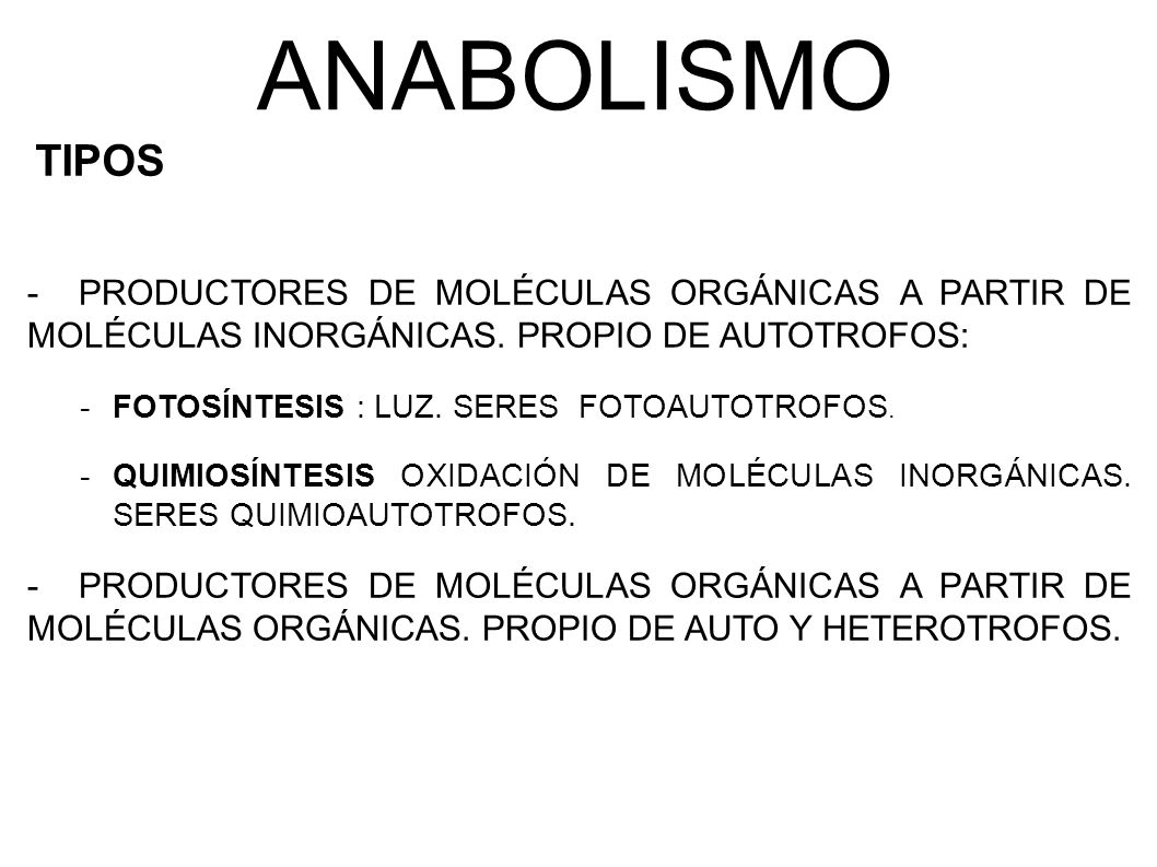 ANABOLISMO TIPOS. PRODUCTORES DE MOLÉCULAS ORGÁNICAS A PARTIR DE MOLÉCULAS INORGÁNICAS. PROPIO DE AUTOTROFOS:
