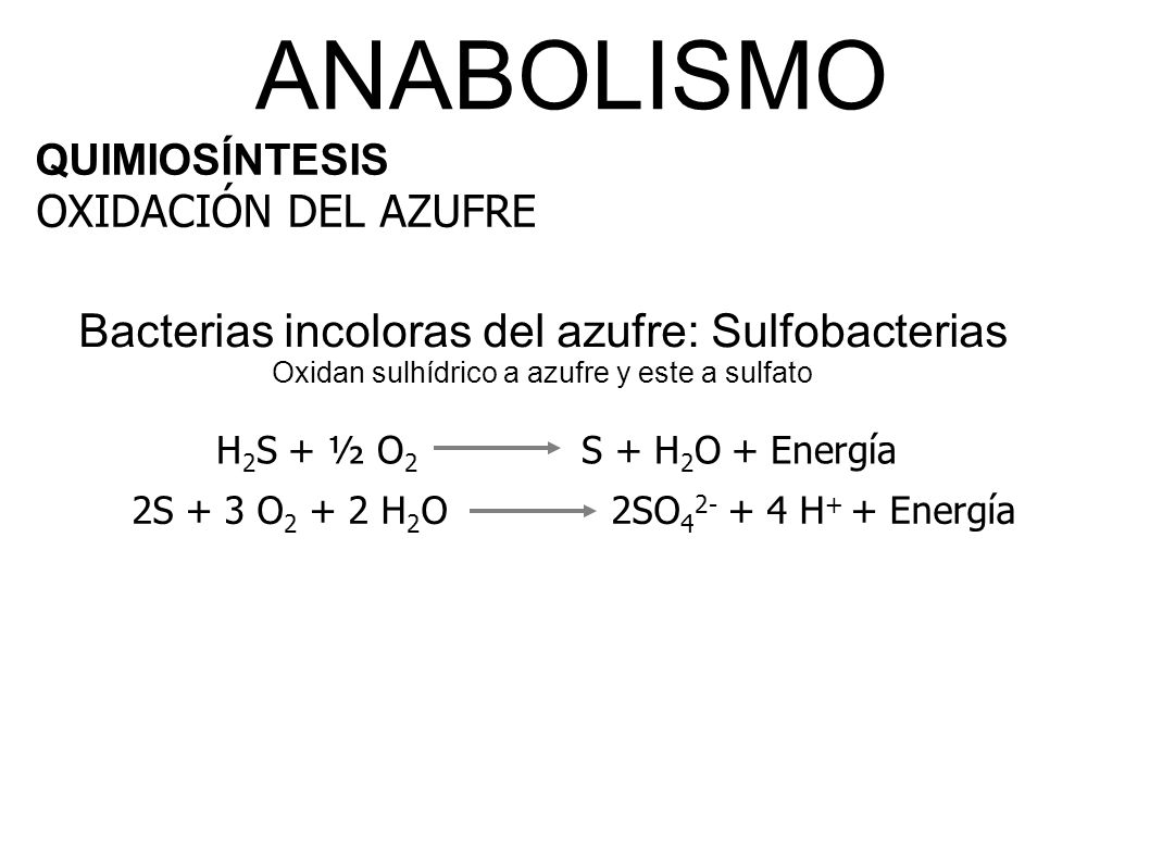 2S + 3 O2 + 2 H2O 2SO H+ + Energía