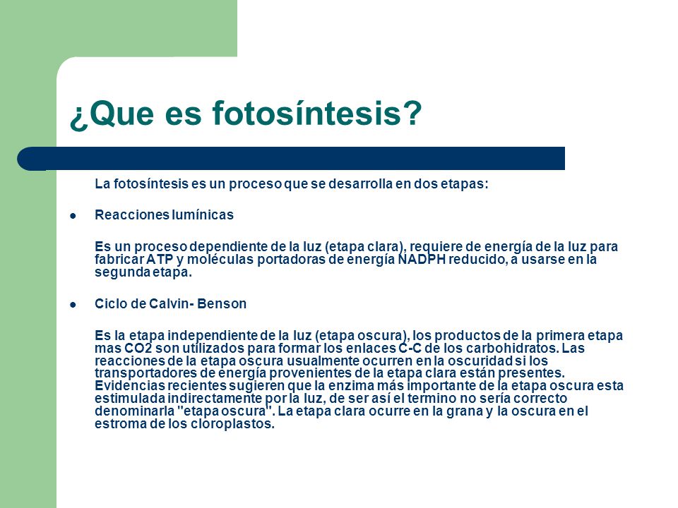 ¿Que es fotosíntesis La fotosíntesis es un proceso que se desarrolla en dos etapas: Reacciones lumínicas.