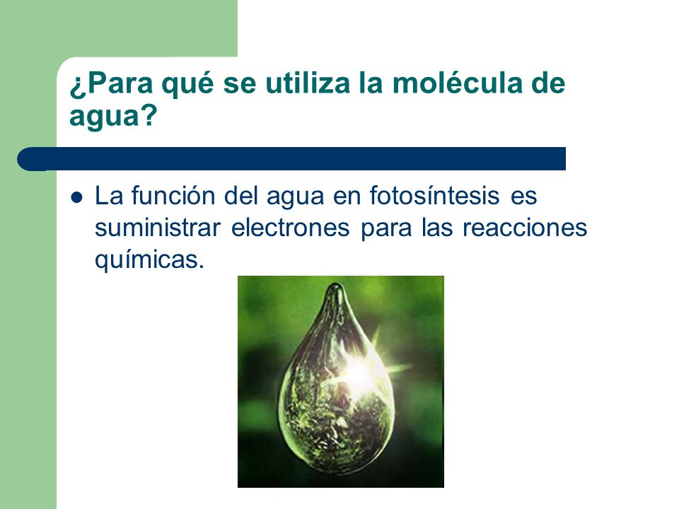 ¿Para qué se utiliza la molécula de agua
