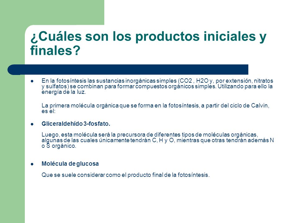 ¿Cuáles son los productos iniciales y finales