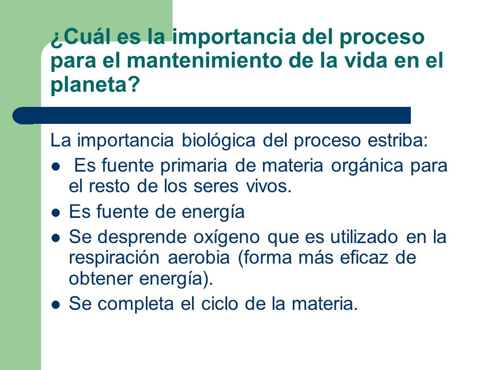 ¿Cuál es la importancia del proceso para el mantenimiento de la vida en el planeta