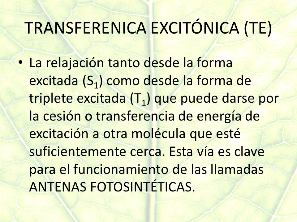 TRANSFERENICA EXCITÓNICA (TE)