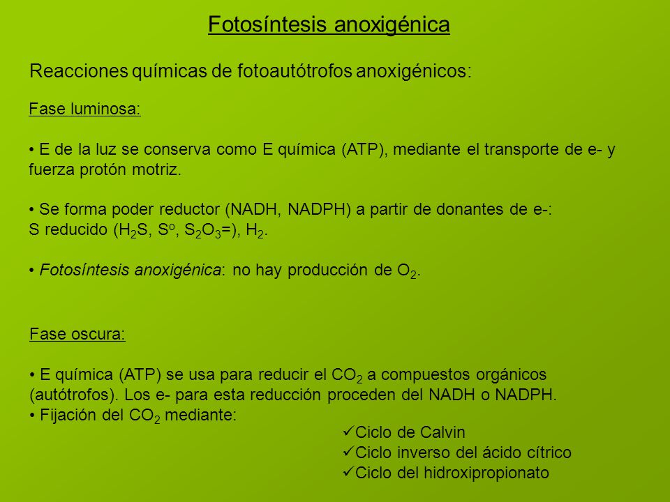 Fotosíntesis anoxigénica