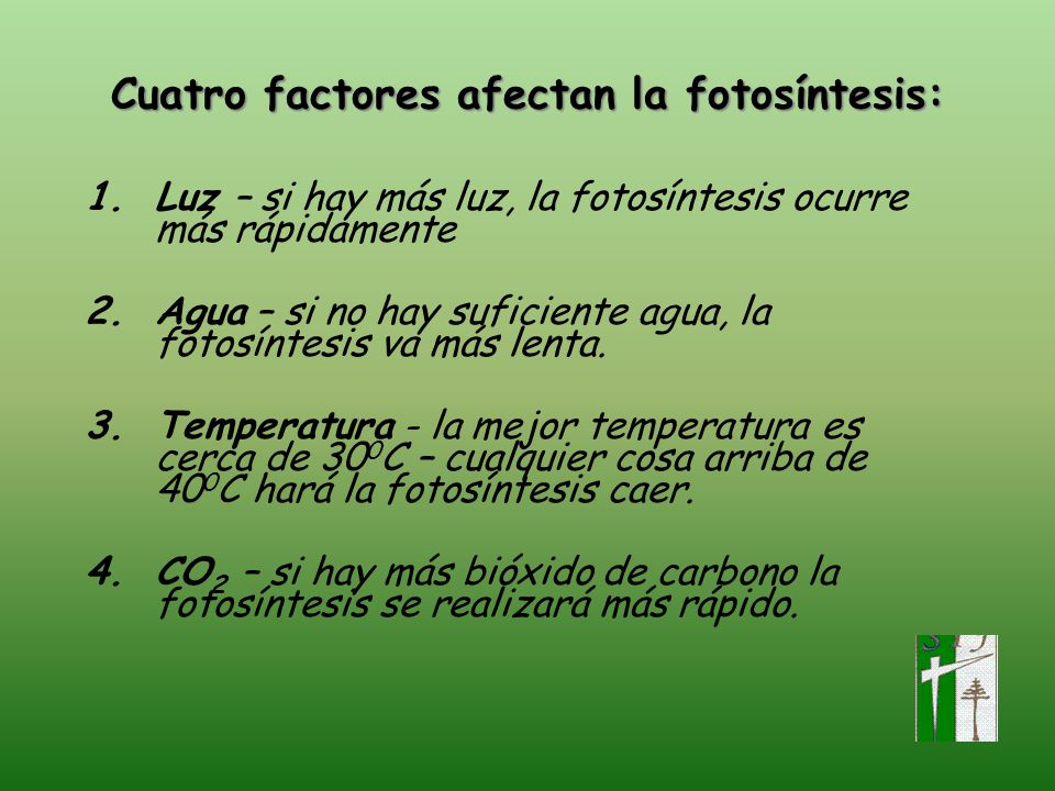 Cuatro factores afectan la fotosíntesis: