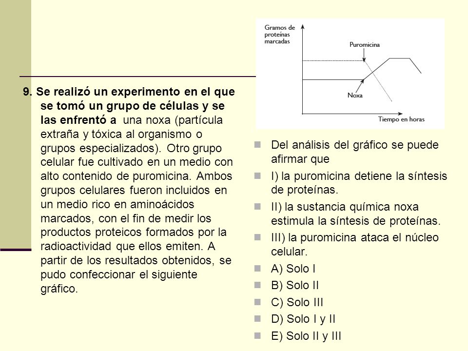 9. Se realizó un experimento en el que se tomó un grupo de células y se las enfrentó a una noxa (partícula extraña y tóxica al organismo o grupos especializados). Otro grupo celular fue cultivado en un medio con alto contenido de puromicina. Ambos grupos celulares fueron incluidos en un medio rico en aminoácidos marcados, con el fin de medir los productos proteicos formados por la radioactividad que ellos emiten. A partir de los resultados obtenidos, se pudo confeccionar el siguiente gráfico.