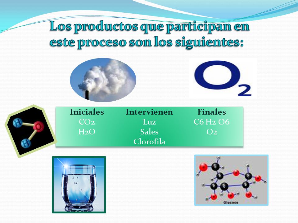 Los productos que participan en este proceso son los siguientes:
