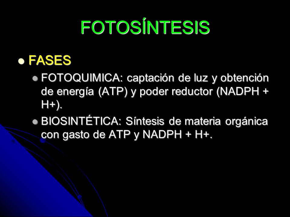 FOTOSÍNTESIS FASES. FOTOQUIMICA: captación de luz y obtención de energía (ATP) y poder reductor (NADPH + H+).