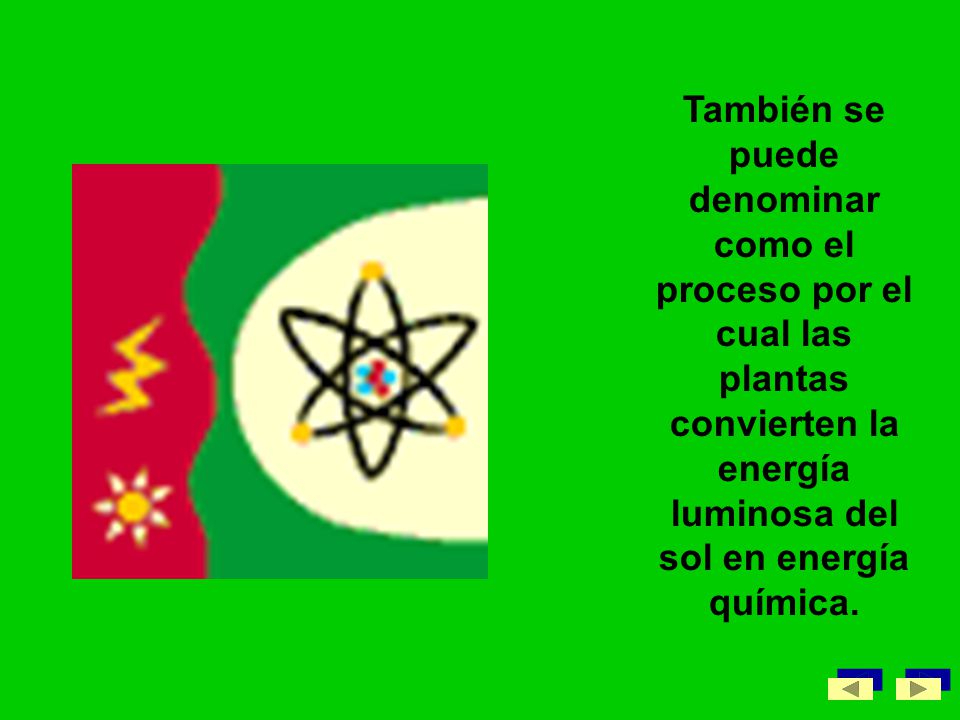También se puede denominar como el proceso por el cual las plantas convierten la energía luminosa del sol en energía química.