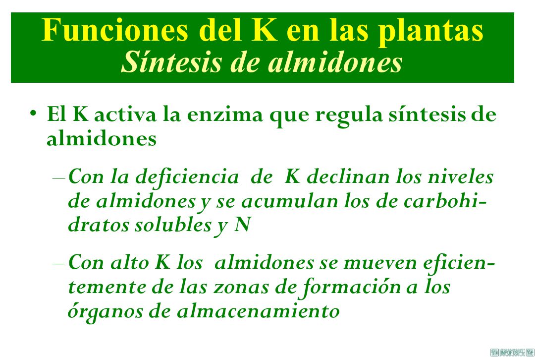 Funciones del K en las plantas