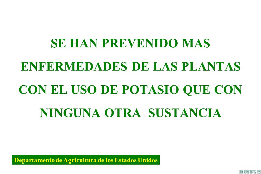 SE HAN PREVENIDO MAS ENFERMEDADES DE LAS PLANTAS CON EL USO DE POTASIO QUE CON NINGUNA OTRA SUSTANCIA