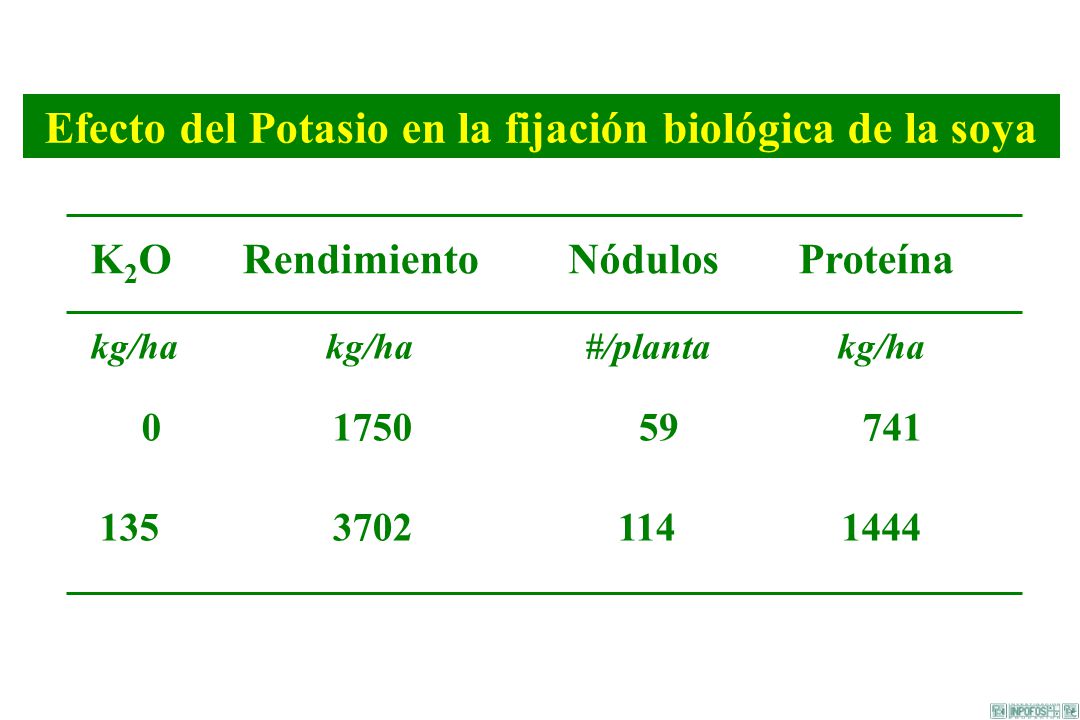 Efecto del Potasio en la fijación biológica de la soya