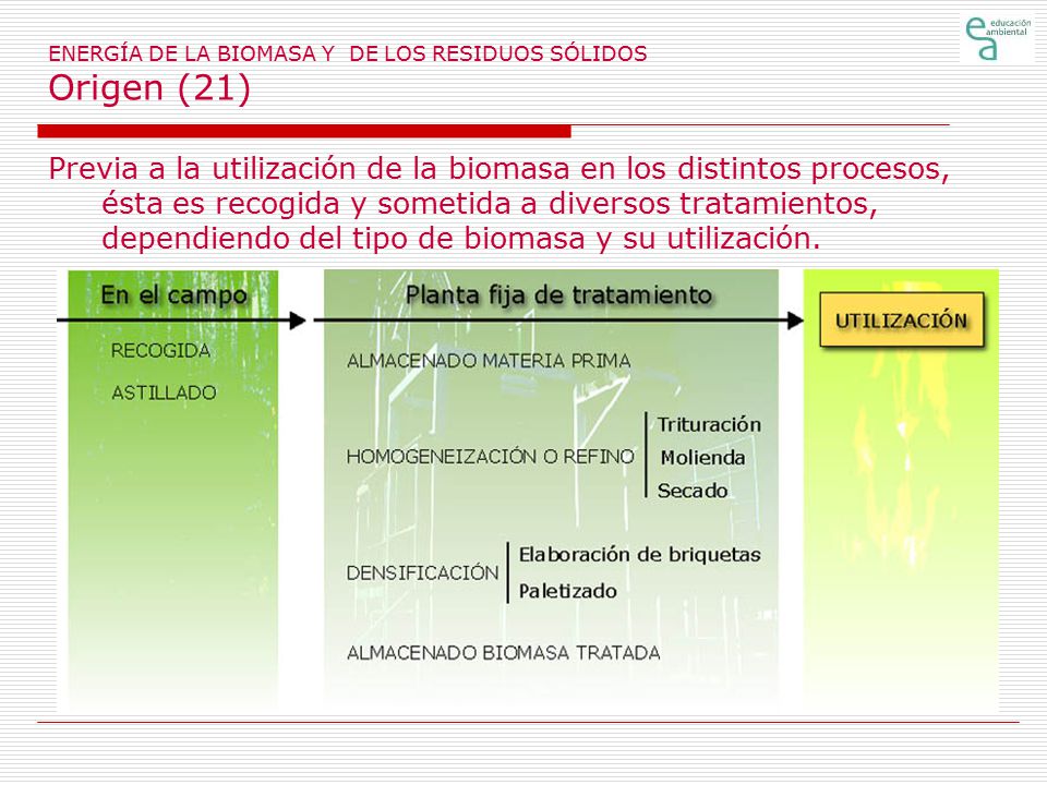 ENERGÍA DE LA BIOMASA Y DE LOS RESIDUOS SÓLIDOS Origen (21)