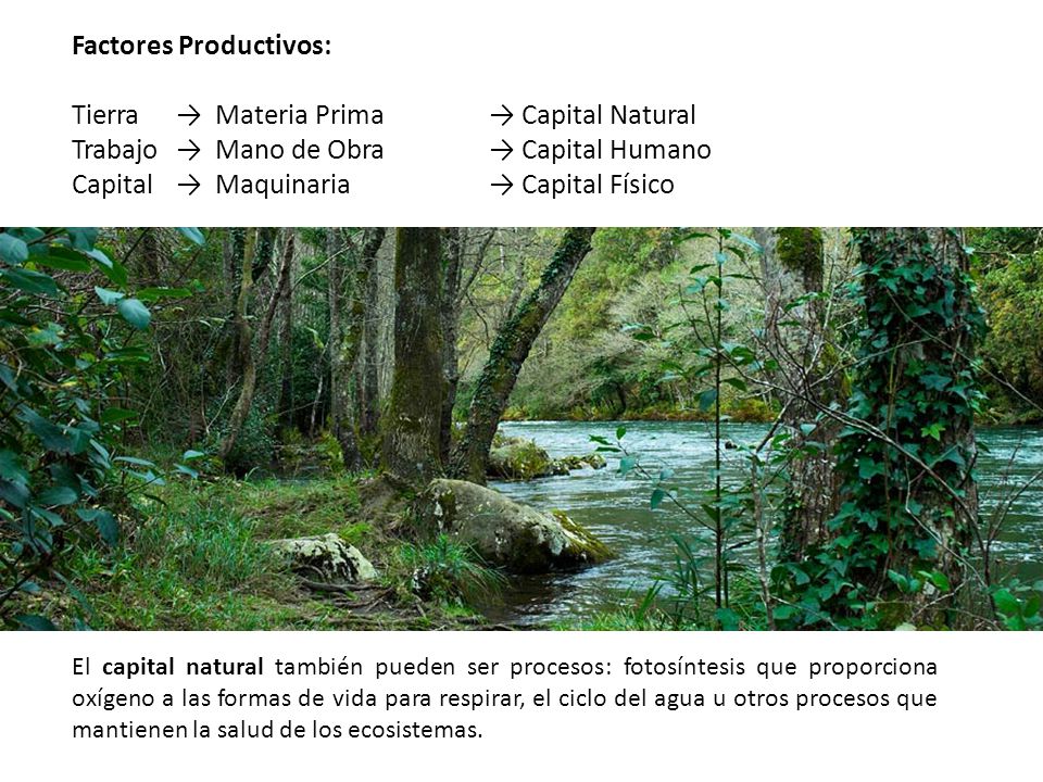Factores Productivos: Tierra → Materia Prima → Capital Natural