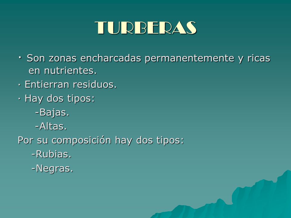 TURBERAS · Son zonas encharcadas permanentemente y ricas en nutrientes. · Entierran residuos. · Hay dos tipos: