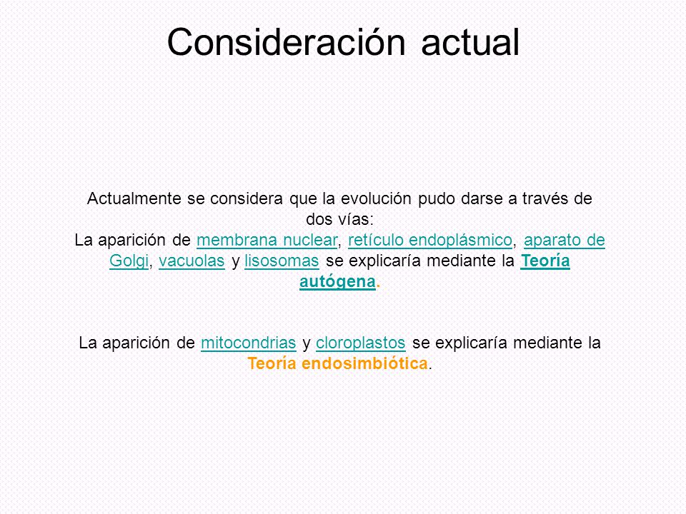 Consideración actual Actualmente se considera que la evolución pudo darse a través de dos vías: