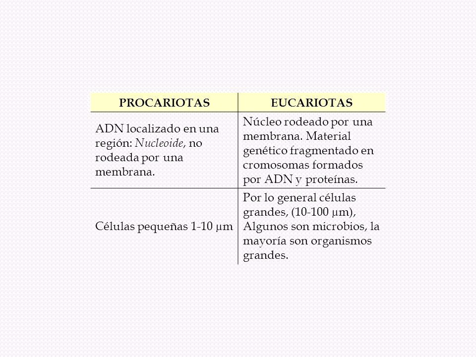 PROCARIOTAS EUCARIOTAS. ADN localizado en una región: Nucleoide, no rodeada por una membrana.