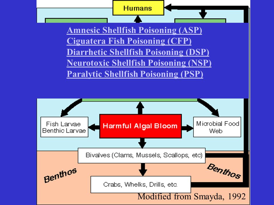 Amnesic Shellfish Poisoning (ASP) Ciguatera Fish Poisoning (CFP) Diarrhetic Shellfish Poisoning (DSP) Neurotoxic Shellfish Poisoning (NSP) Paralytic Shellfish Poisoning (PSP)