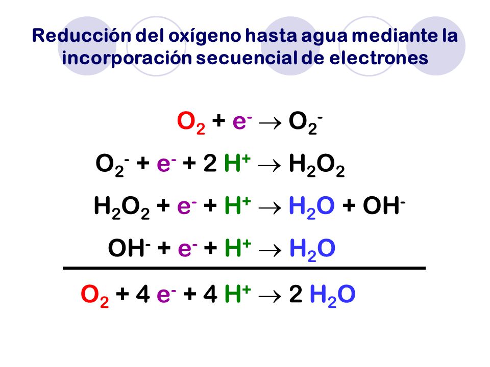 O2 + e-  O2- O2- + e- + 2 H+  H2O2 H2O2 + e- + H+  H2O + OH-