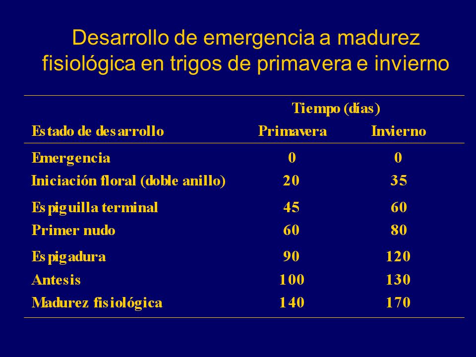 Desarrollo de emergencia a madurez fisiológica en trigos de primavera e invierno