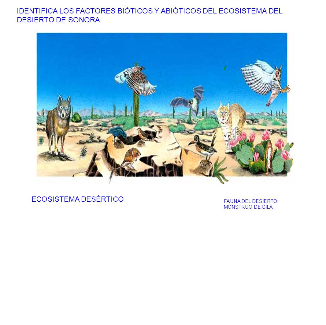 IDENTIFICA LOS FACTORES BIÓTICOS Y ABIÓTICOS DEL ECOSISTEMA DEL DESIERTO DE SONORA