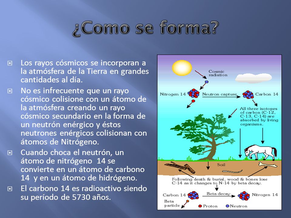¿Como se forma Los rayos cósmicos se incorporan a la atmósfera de la Tierra en grandes cantidades al día.