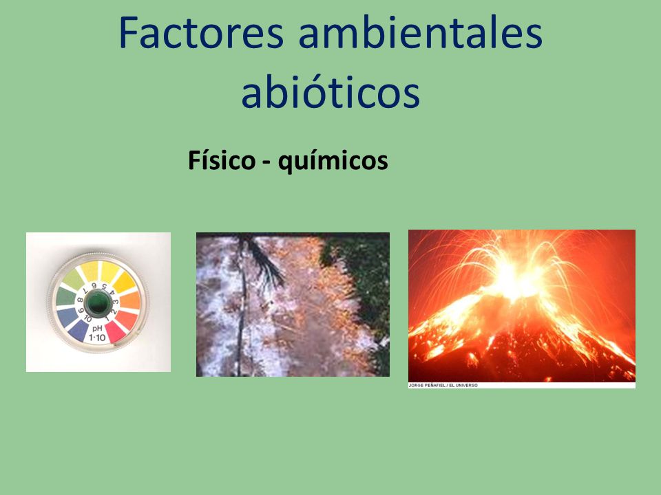 Factores ambientales abióticos