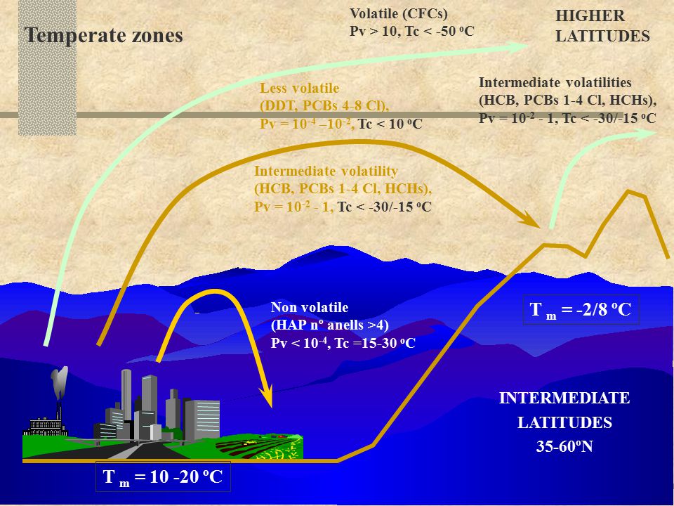 Temperate zones T m = -2/8 ºC T m = ºC HIGHER LATITUDES