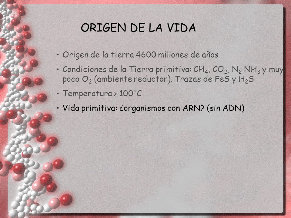 ORIGEN DE LA VIDA Origen de la tierra 4600 millones de años