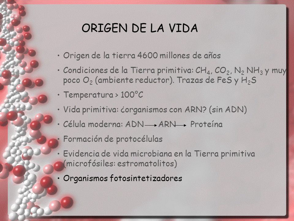 ORIGEN DE LA VIDA Origen de la tierra 4600 millones de años
