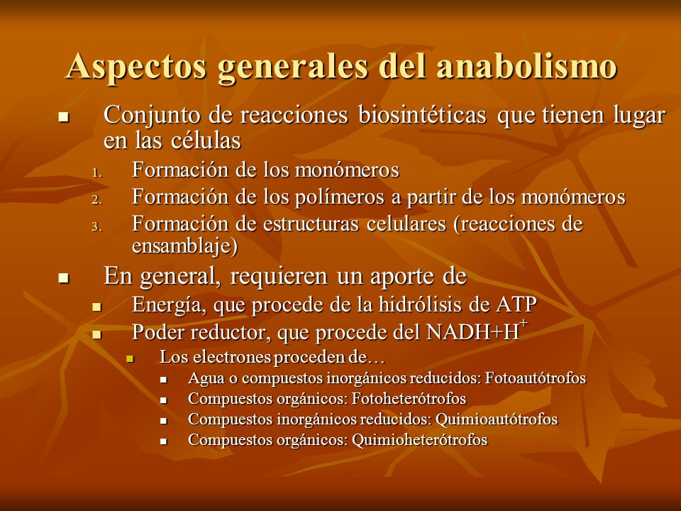 Aspectos generales del anabolismo