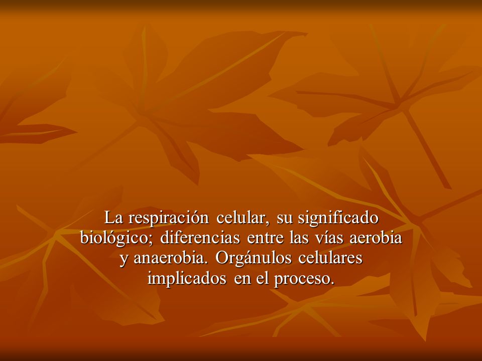 La respiración celular, su significado biológico; diferencias entre las vías aerobia y anaerobia.