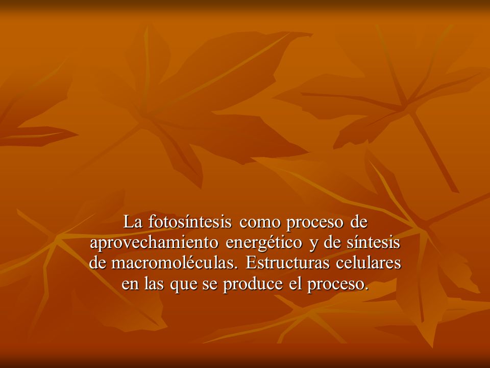 La fotosíntesis como proceso de aprovechamiento energético y de síntesis de macromoléculas.