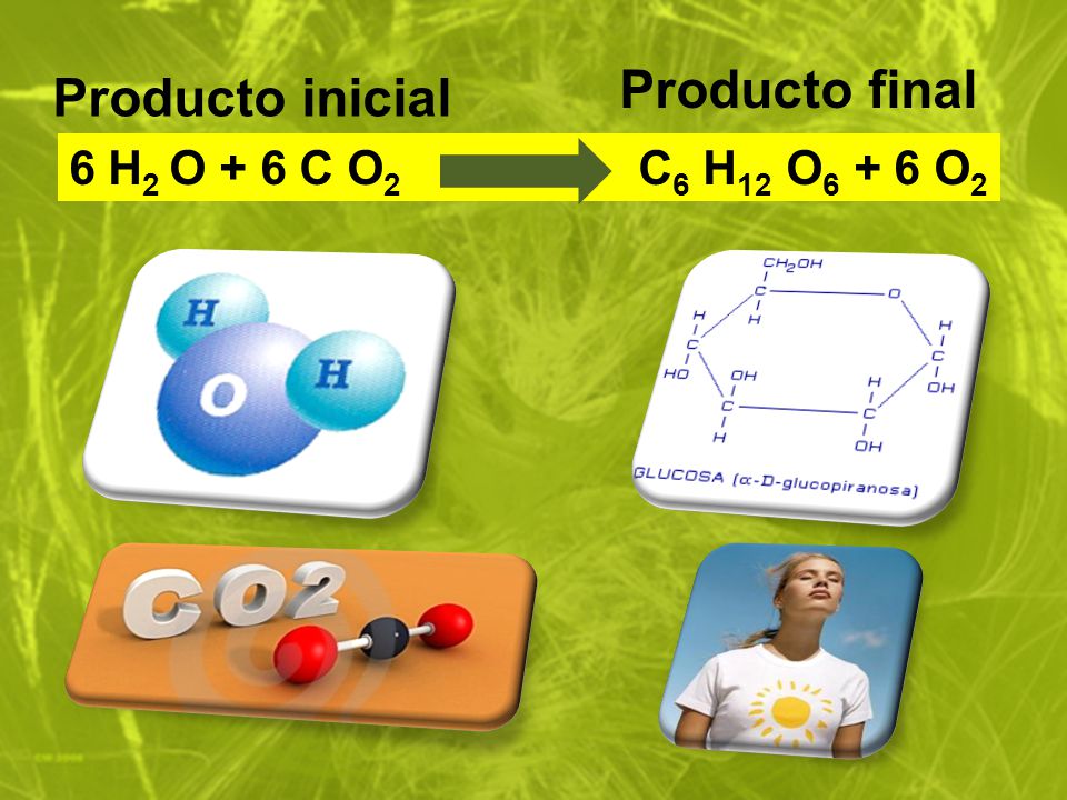 Producto final Producto inicial 6 H2 O + 6 C O2 C6 H12 O6 + 6 O2