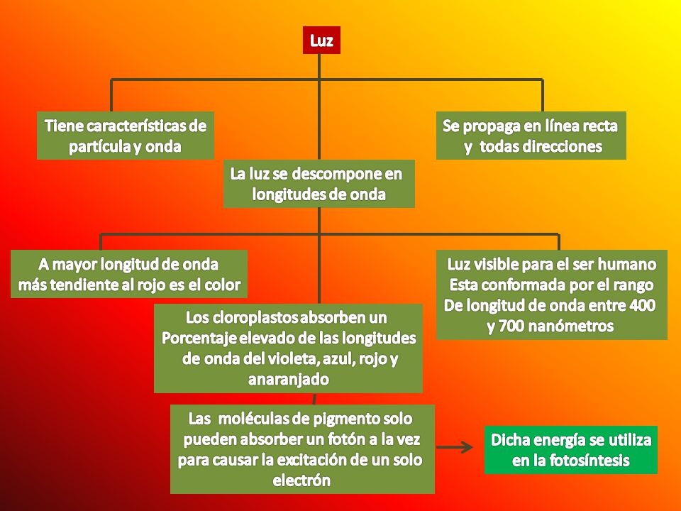 Tiene características de partícula y onda Se propaga en línea recta