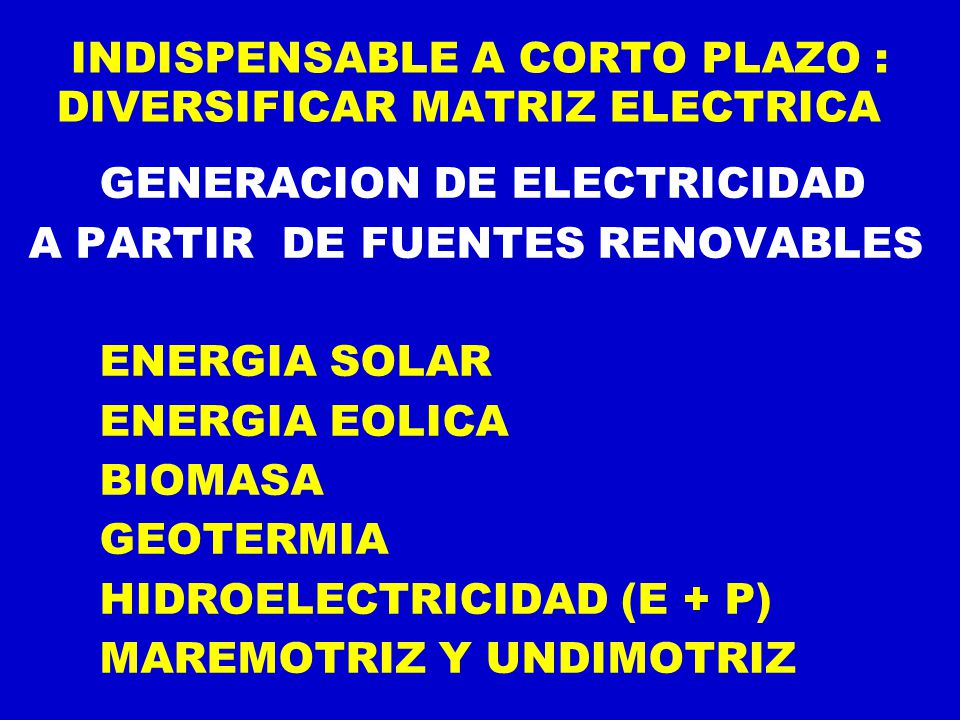 INDISPENSABLE A CORTO PLAZO : DIVERSIFICAR MATRIZ ELECTRICA