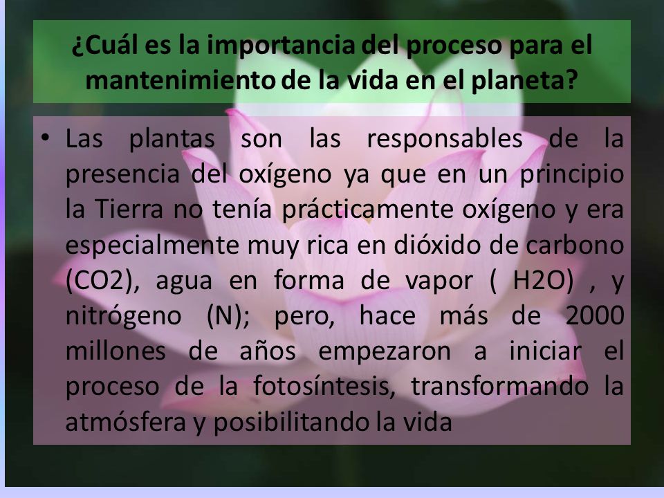 ¿Cuál es la importancia del proceso para el mantenimiento de la vida en el planeta