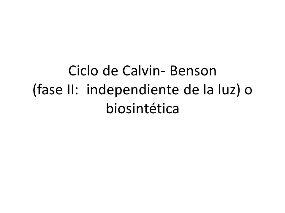 Ciclo de Calvin- Benson (fase II: independiente de la luz) o biosintética