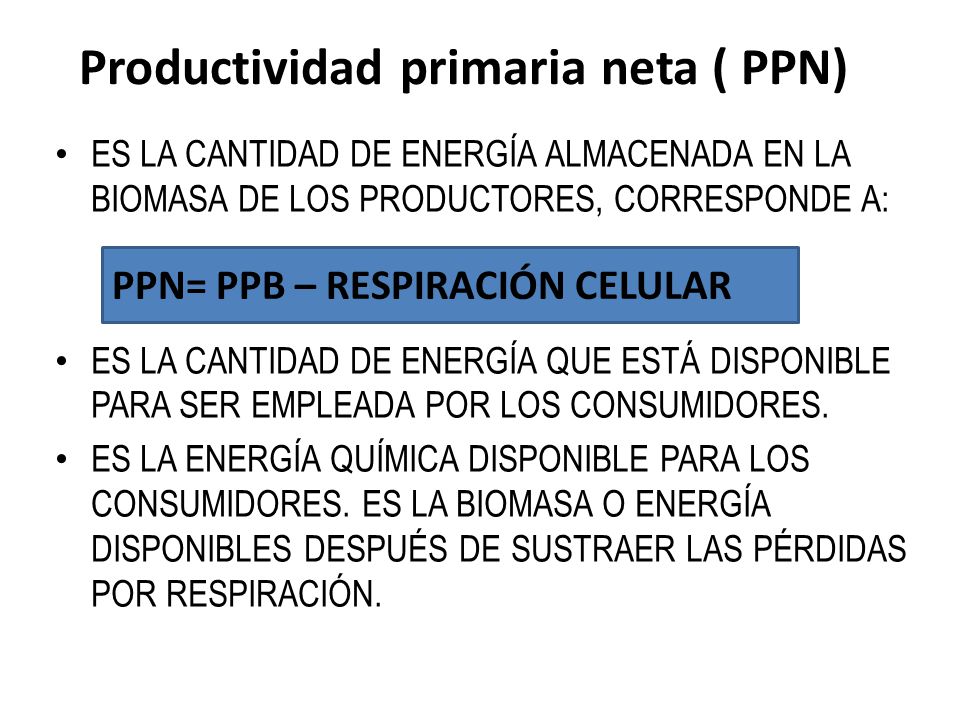 Productividad primaria neta ( PPN)